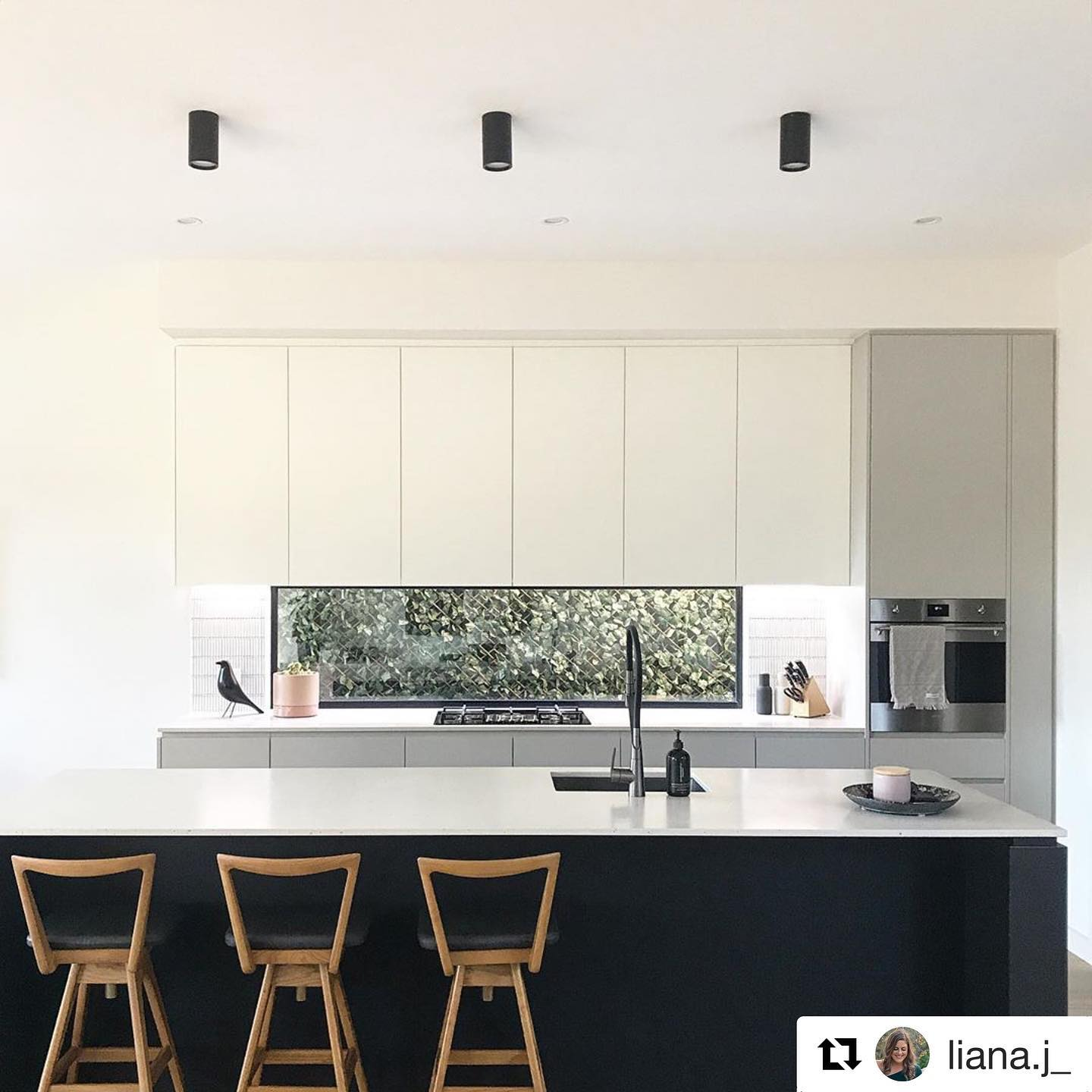 Liana J Kitchen