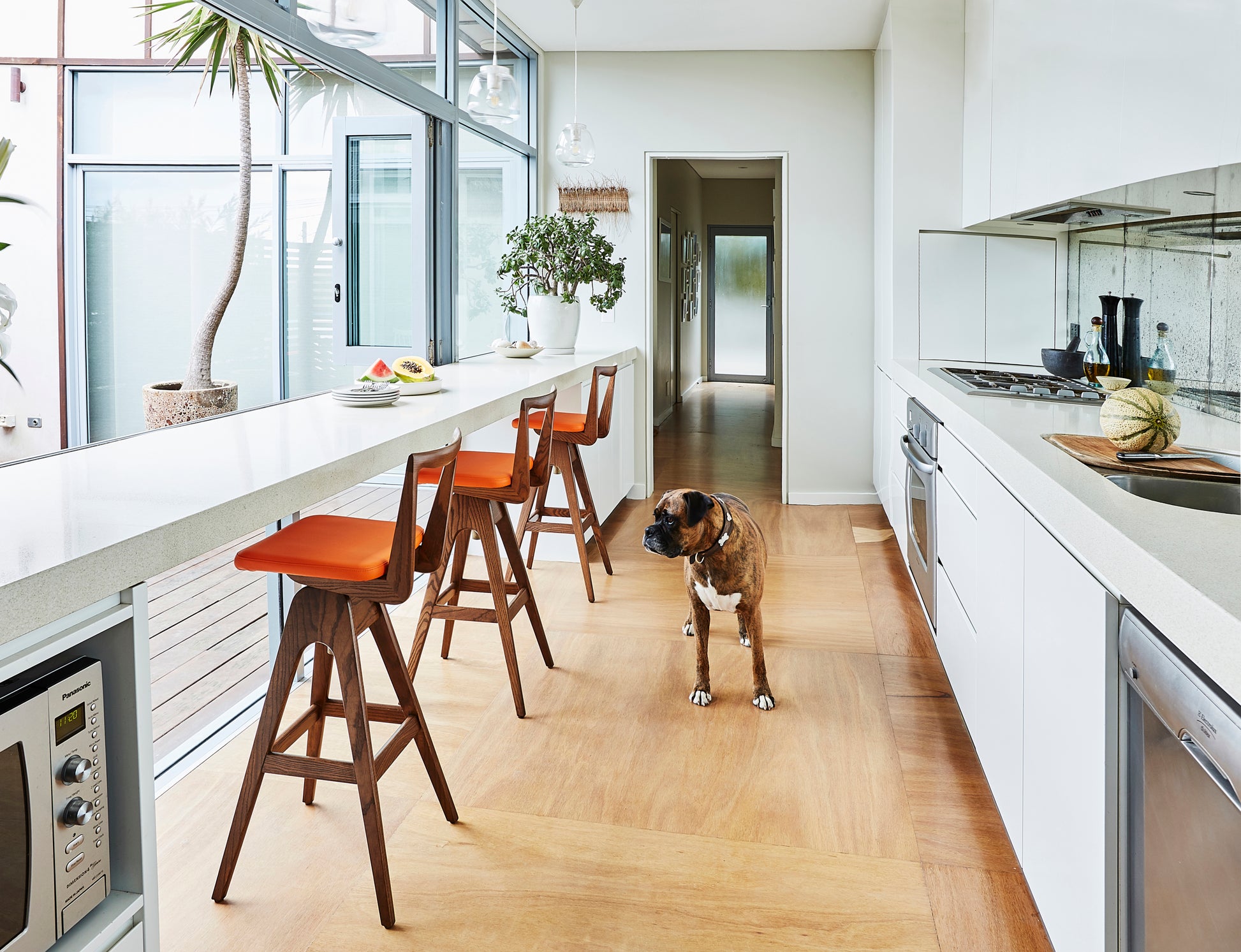 TH Brown Danish Bar Stools in timber and white upholstery at a modern kitchen bench, handcrafted Australian furniture made in Adelaide