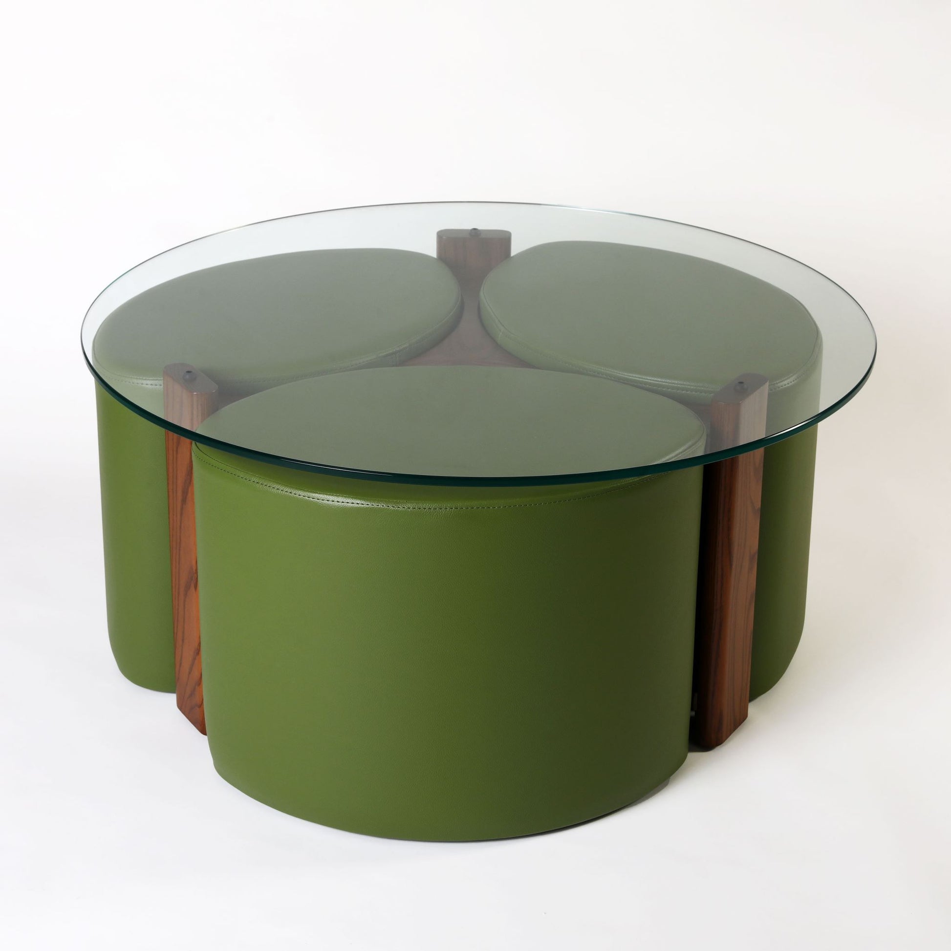 TH Brown Rondo Coffee Table in Dark Ash and Sprout, blending natural timber warmth with fresh green tones for playful modern Australian living.